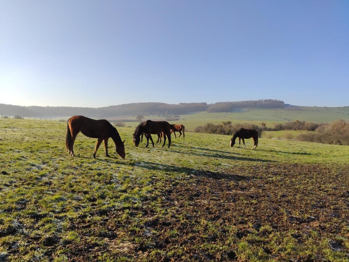 Country house De Solama Avec